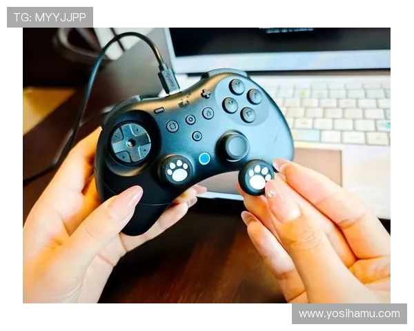 凯发网址app安全可靠的登录入口推荐，保障您的游戏体验更加顺畅